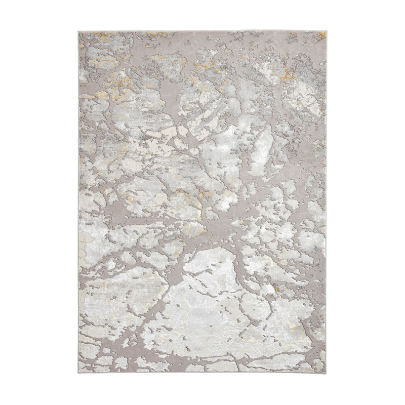 Apollo area rug Machine Woven Rectangle Grey, Rectangle 160 x 220cm