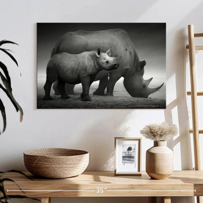 Etosha Park Rhinoceroses