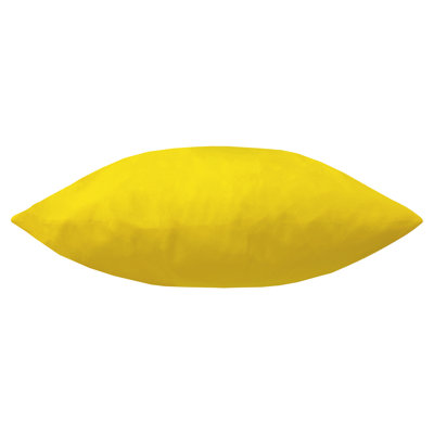 Indoor / Outdoor Square Cushion