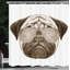 Pug Shower Curtain Set + Hooks-95077746-95077722