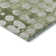 Premium Machine Washable Prisco Aloe Rug