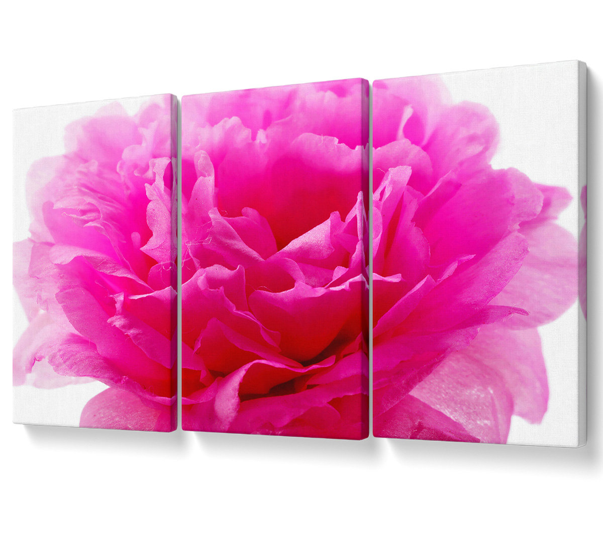 Ebern Designs Pink Carnation Ruffles - 3 Piece Wrapped Canvas Graphic ...