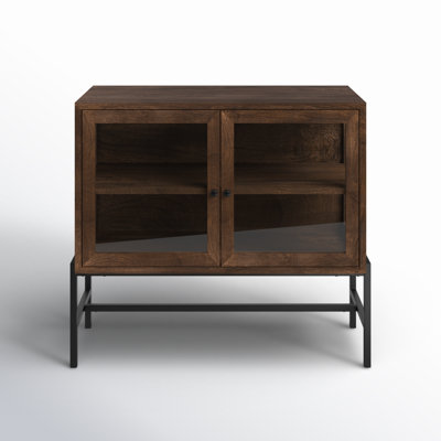 Warner 2 -Door Storage Cabinet