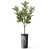 Tree Ring Dark Grey