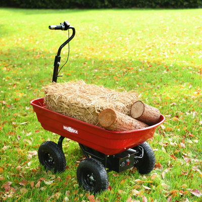 Charriot électrique à quatre roues 24V 180W Batterie au plomb 264 lb (120 Kg) Brouette électrique