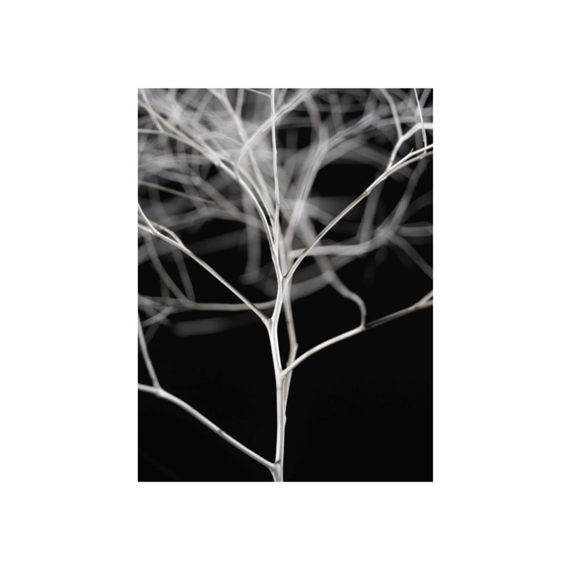 Sonora III Print by Chris Dunker, 48" H x 36" W x 1.5" D, Outdoor