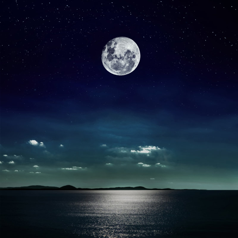 Lune reflétant sur la plage - Photographie sur toile tendue, H 30 po x l 30 po