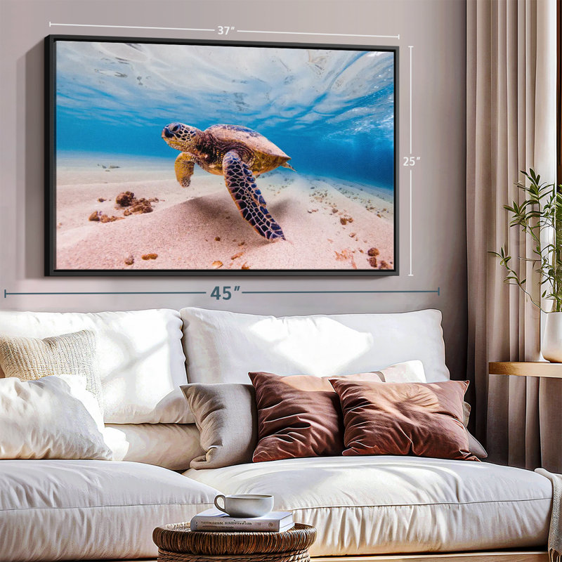 «Sandy Turtle», reproduction sur toile, H 25 po x l 37 po