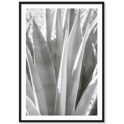 Muted Cactus Print by Carly Tabak