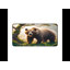 Polyester Desk Pad-1904911768