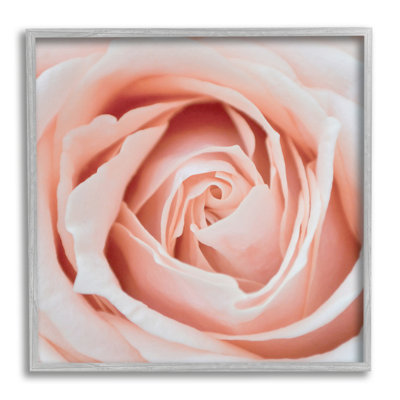 Rose sur fond rose sur bois par LSR Design Studio