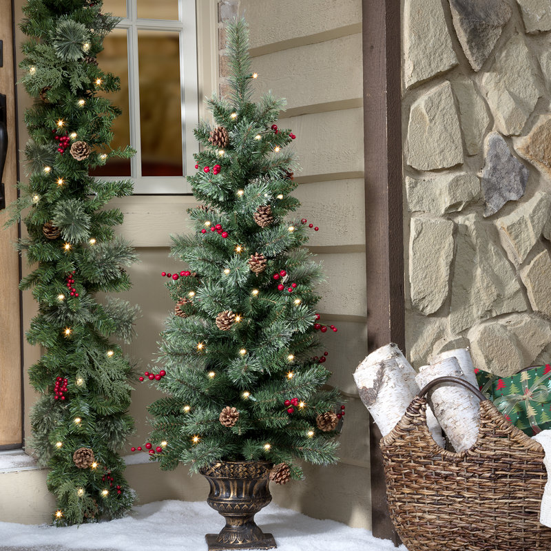 Hahne Flocked 4' Pre-Lit Spruce Christmas Tree