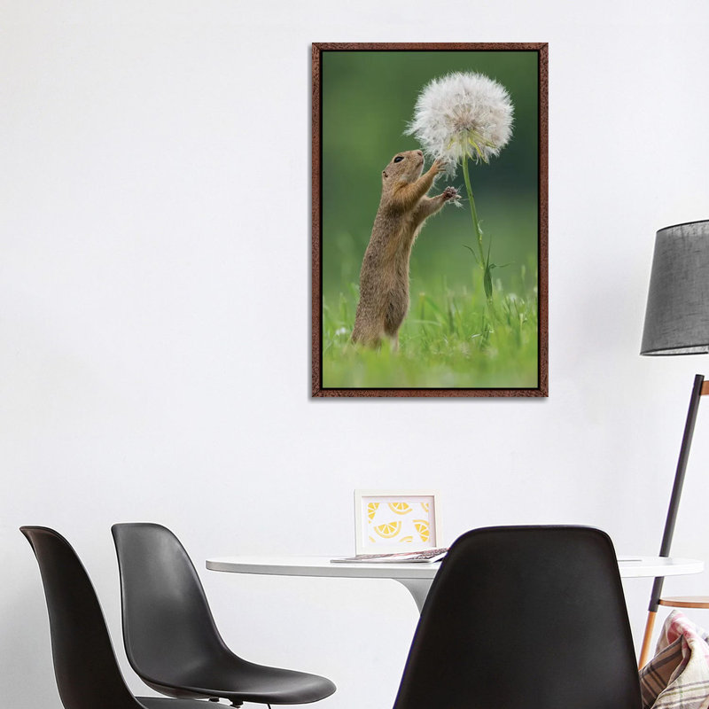 Ziesel With A Very Big Dandelion IV by Dick Van Duijn - Print on Canvas, 101.6cm H x 66.04cm W x 3.81cm D