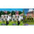 25 Ft. Aluminum Telescoping Flagpole With U.S. Flag And Handcrafted Golden Top Finial