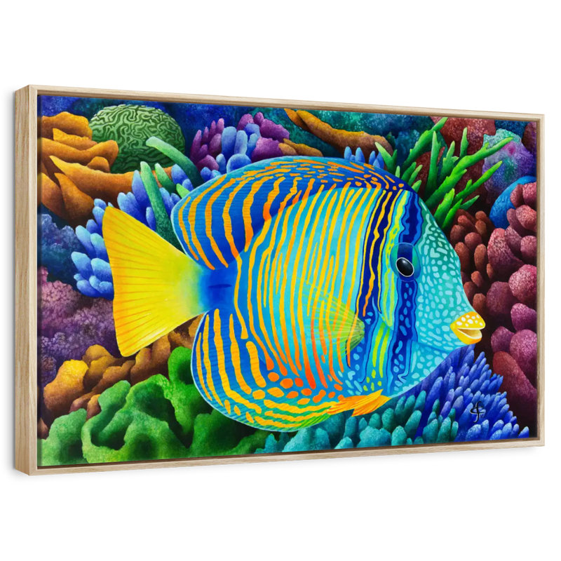 Sailfin Tang, Cadre flottant en bois naturel, 13 po x 9 po