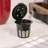 Perfect Pod Coffee K-Cup