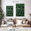 Harnek plante nerveuse-108247900