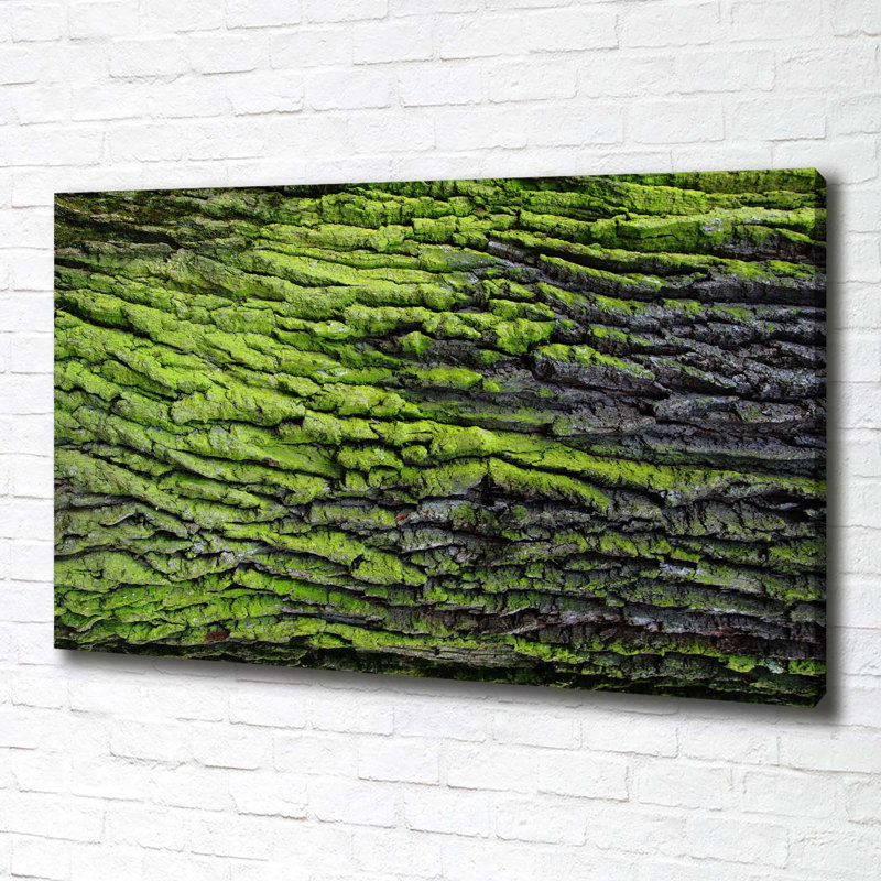 Tree Bark - Wrapped Canvas Print