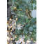 D23,6 po, couronne d'eucalyptus, vert