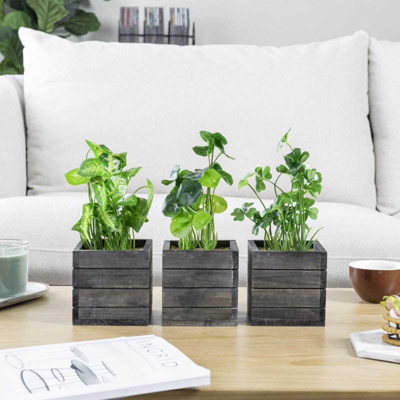 3 - Piece Artificial Evergreen Plant in Wood Pot Set