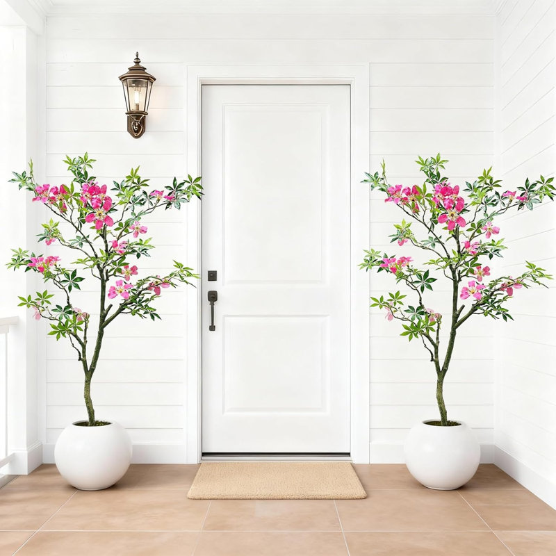 152cm Plant