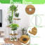 Abiola Plant Stand-207969005