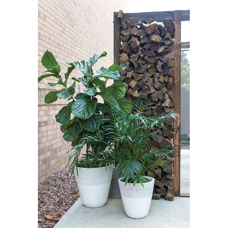 Planter