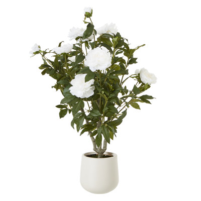 Annitta 106cm Plant in Pot