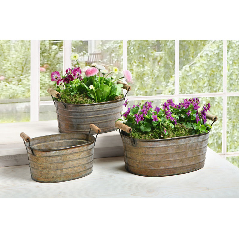 Ensemble de pots à fleurs en métal Heacock