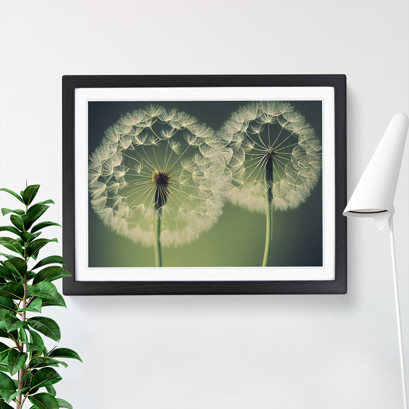 Tremendous Dandelion Flowers - Single Picture Frame Print, 46cm H x 64cm W x 2cm D, Black