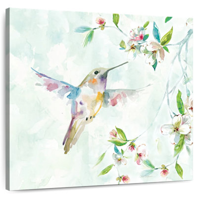 Colibri délicat Brampt I