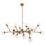 18 - Light Chandelier