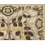 Inverness Wool Oriental Area Rug in Beige/Brown-40705415