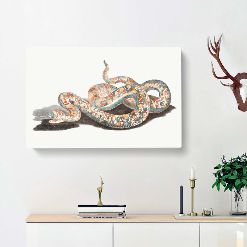 A Snake by Johan Teyler - Wrapped Canvas Painting, 35cm H x 50cm W x 3cm D