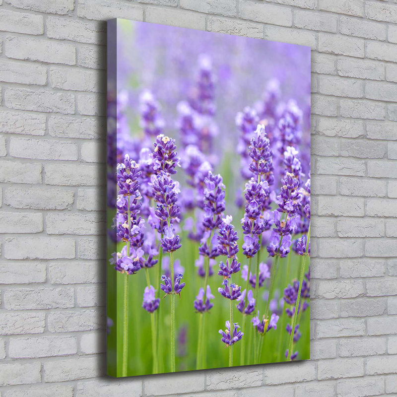 Lavender Field - Wrapped Canvas Print