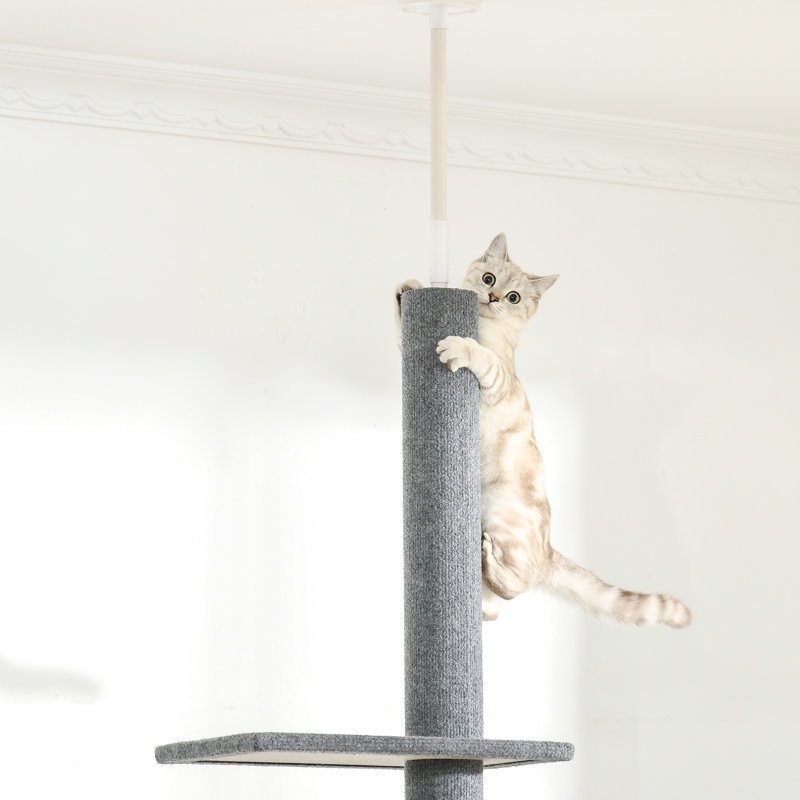 Arbre à chat de 8,5 pi de hauteur, plancher-plafond réglable avec des textures douces et des plateformes pour le jeu du chaton, meubles d'escalade gris, chatons confortables à gratter la tour