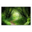 Wrapped Canvas Print-928568522