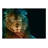 Lion In The Night Wall Mural-1318195230-1286760350-1315491506