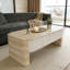 Lift Top Coffee Table-2072981585