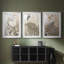 ANIMALS Series CCLV - Impression encadrée sur mesure de qualité supérieure - 3 pièces
