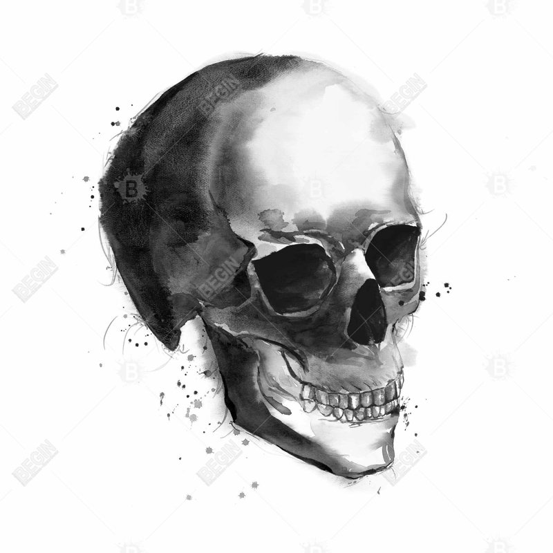 Skull - 32"x32" art on canvas
