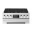 36-Inch Dual-Fuel Pro Range With Six Burners