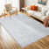 Perrusquia Washable Indoor Rug