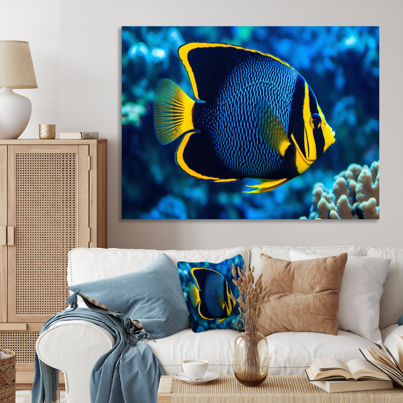 " Finned Fish Wonders II ", 34" H x 44" W x 1.5" D, Wrapped Canvas