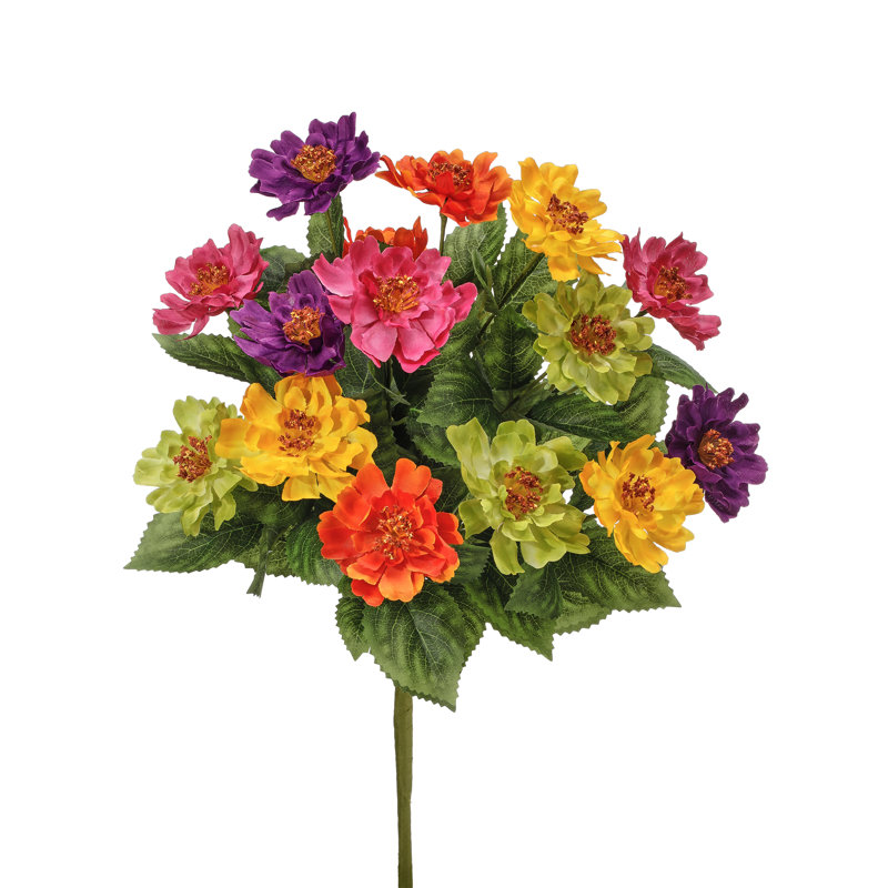 Mixed Zinnia Bush