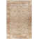Gorsuch Oriental Indoor Rug