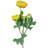 Rose Arrangement