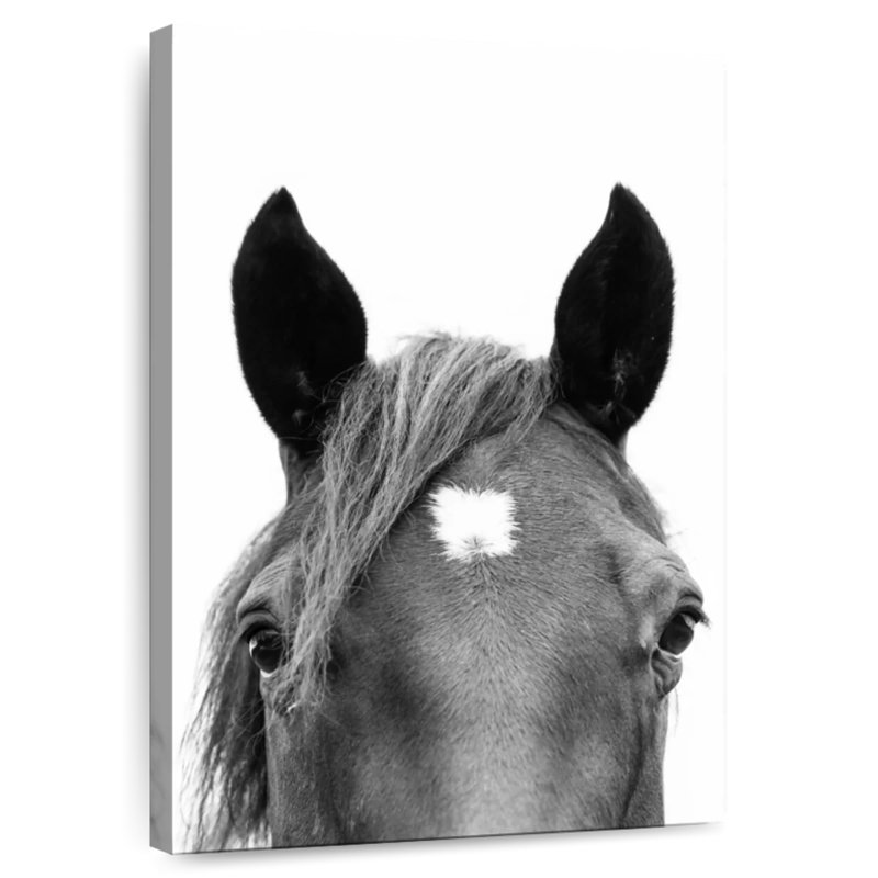 Brampt regardant un cheval en noir et blanc, H 24 po x l 16 po