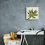 «Front Yard Succulent I» par Silvia Vassileva, art mural sur toile, 26 po x 26 po-1368975998