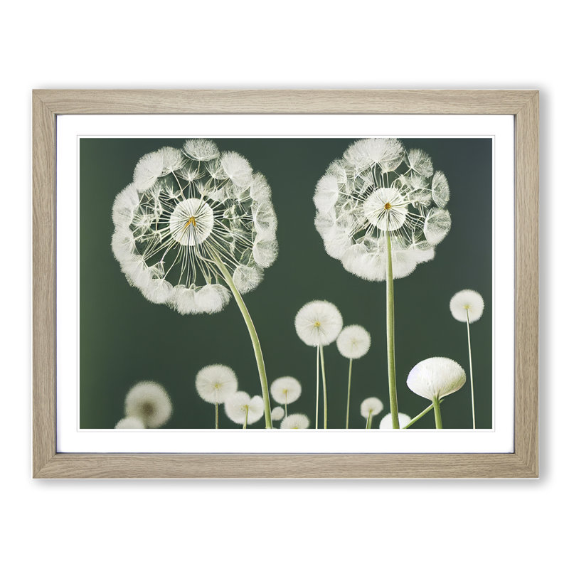 Charming Dandelion Flowers - Framed Print, 25cm H x 34cm W x 2cm D, Oak